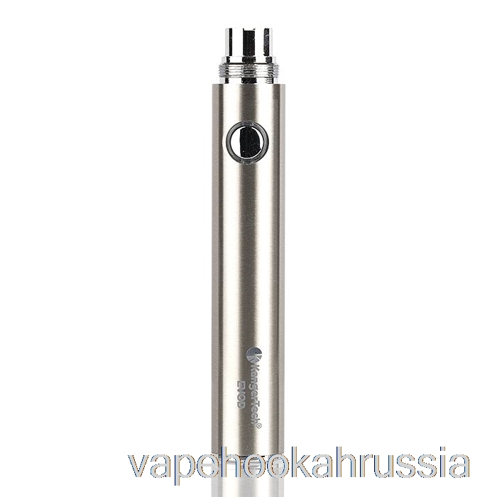 Vape Russia Kanger Evod 650mah / 1000mah аккумулятор 650mah - нержавеющая сталь